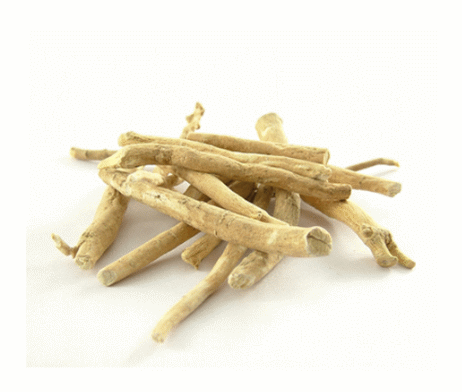 RACINES ASHWAGANDHA BIO